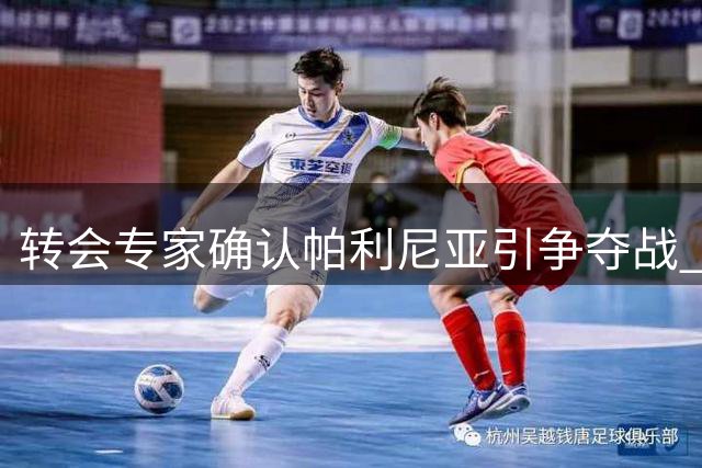 转会专家确认帕利尼亚引争夺战 纽卡再询价本菲卡暗度陈仓